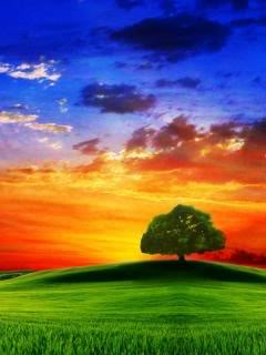 Wallpaper240x320-280-GsNhan